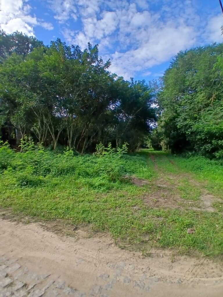 Ilha de Guaratiba Condominio Paiva Muniz